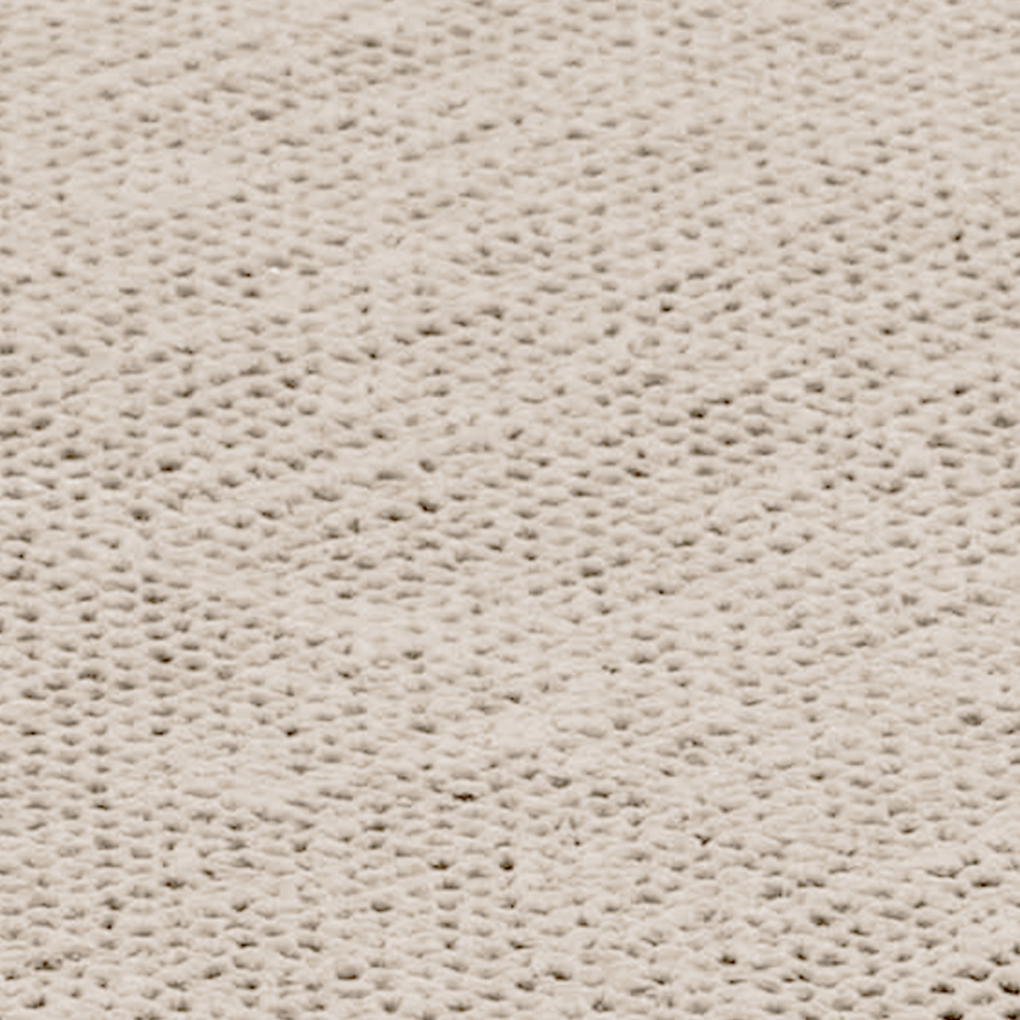 Aerotex tapis de tente beige 250x300cm